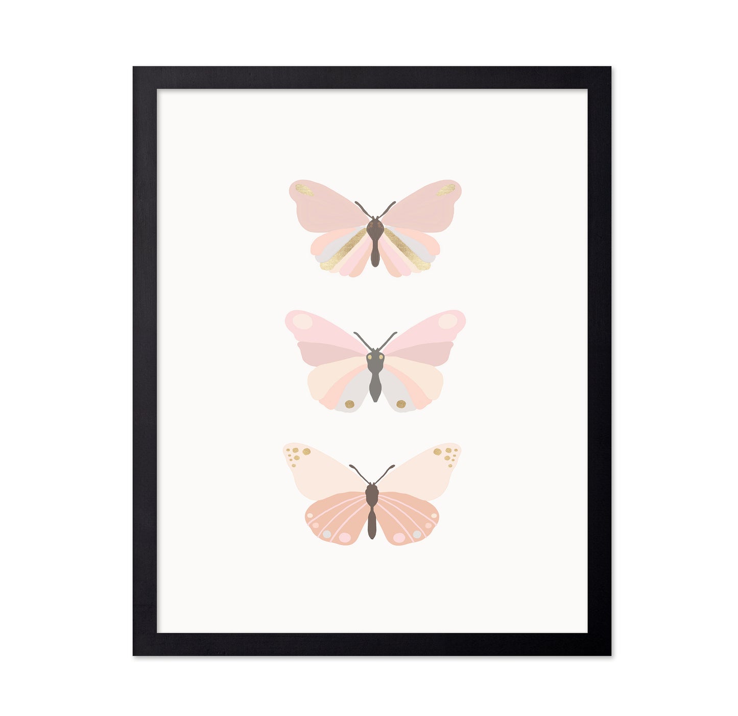 Butterflies Illustration