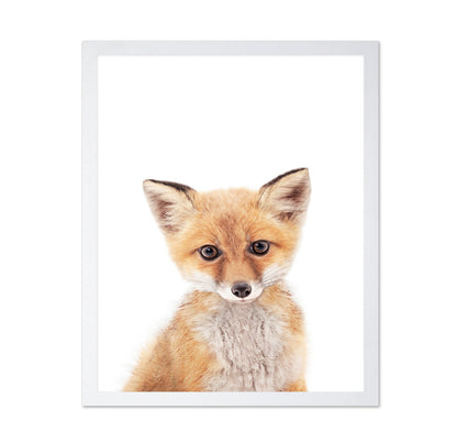 Baby Fox