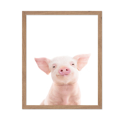 Baby Pig