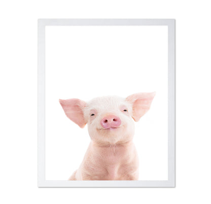 Baby Pig