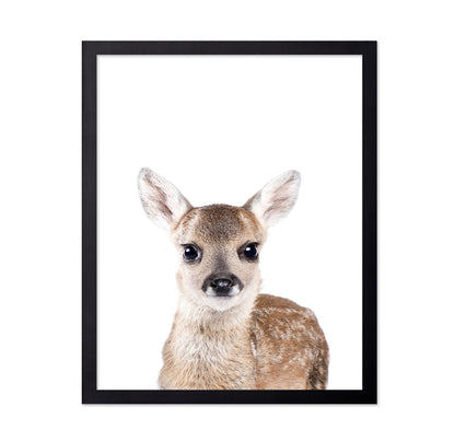 Baby Deer