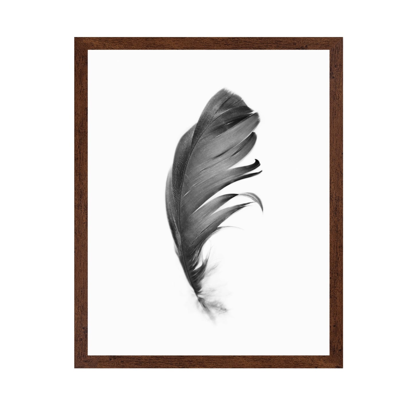 Feather