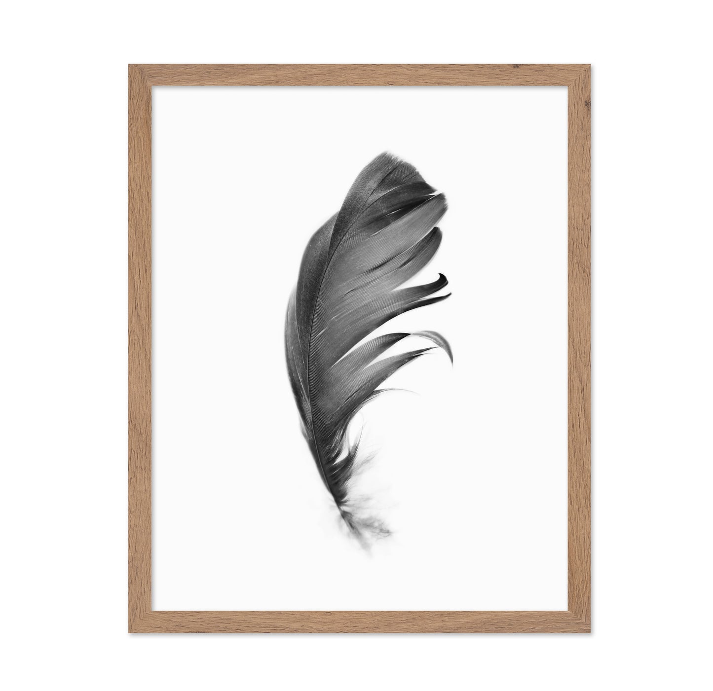 Feather