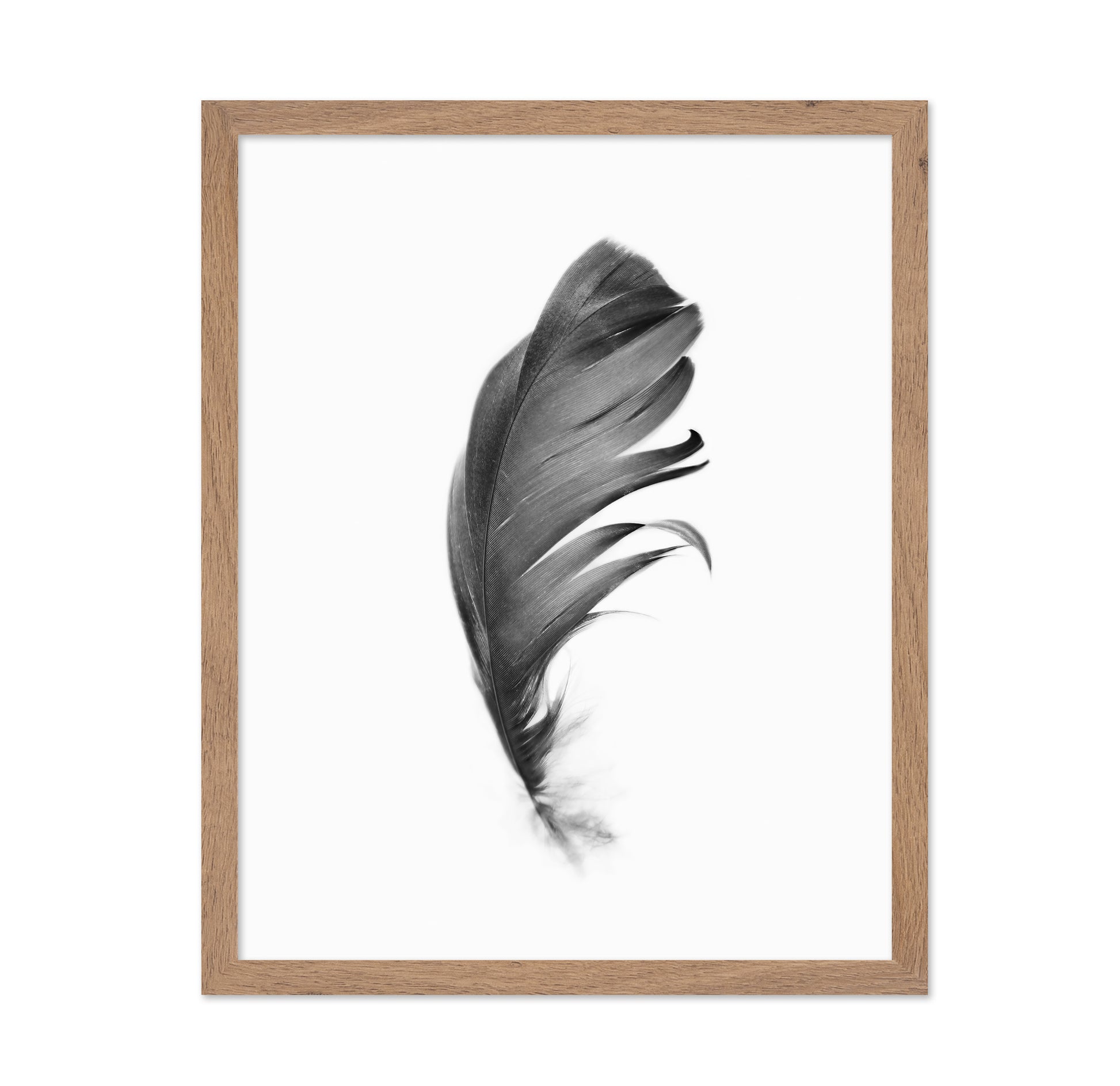 Feather