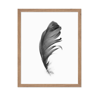 Feather