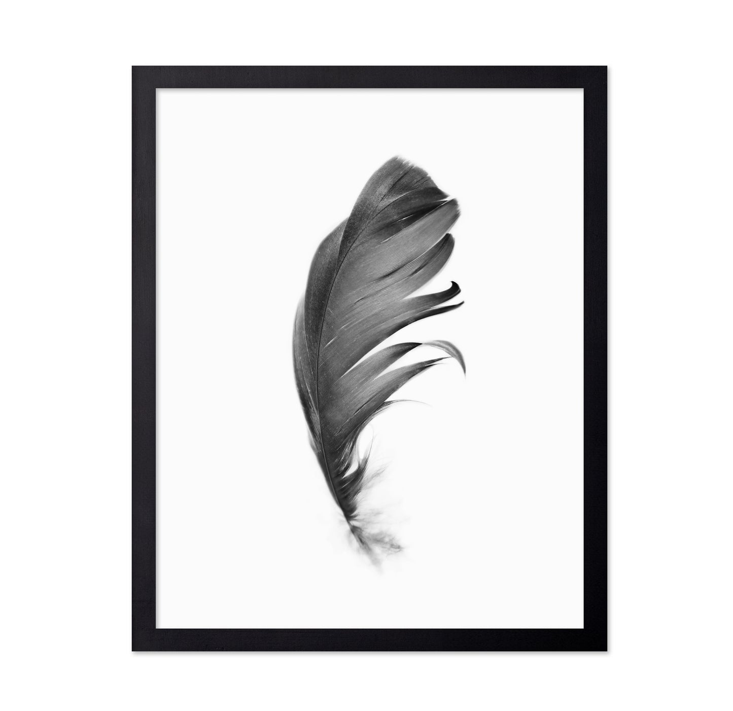Feather