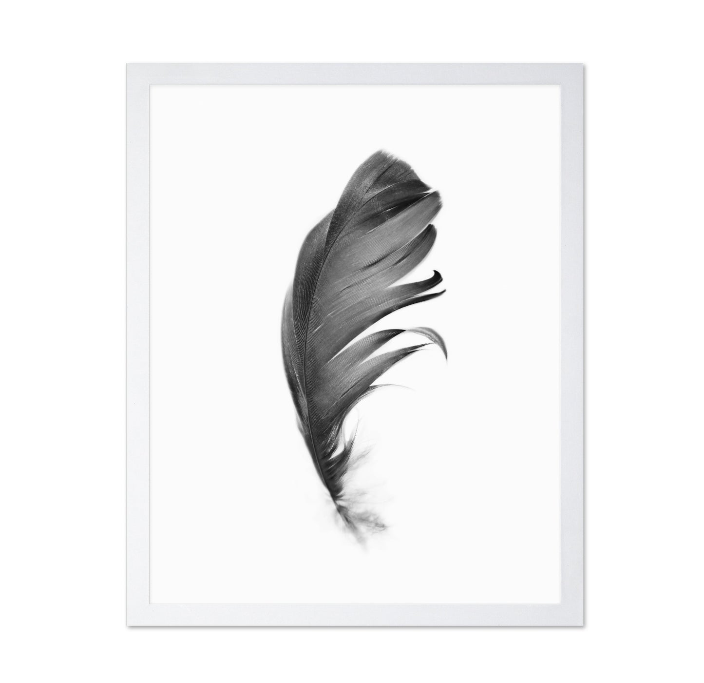 Feather
