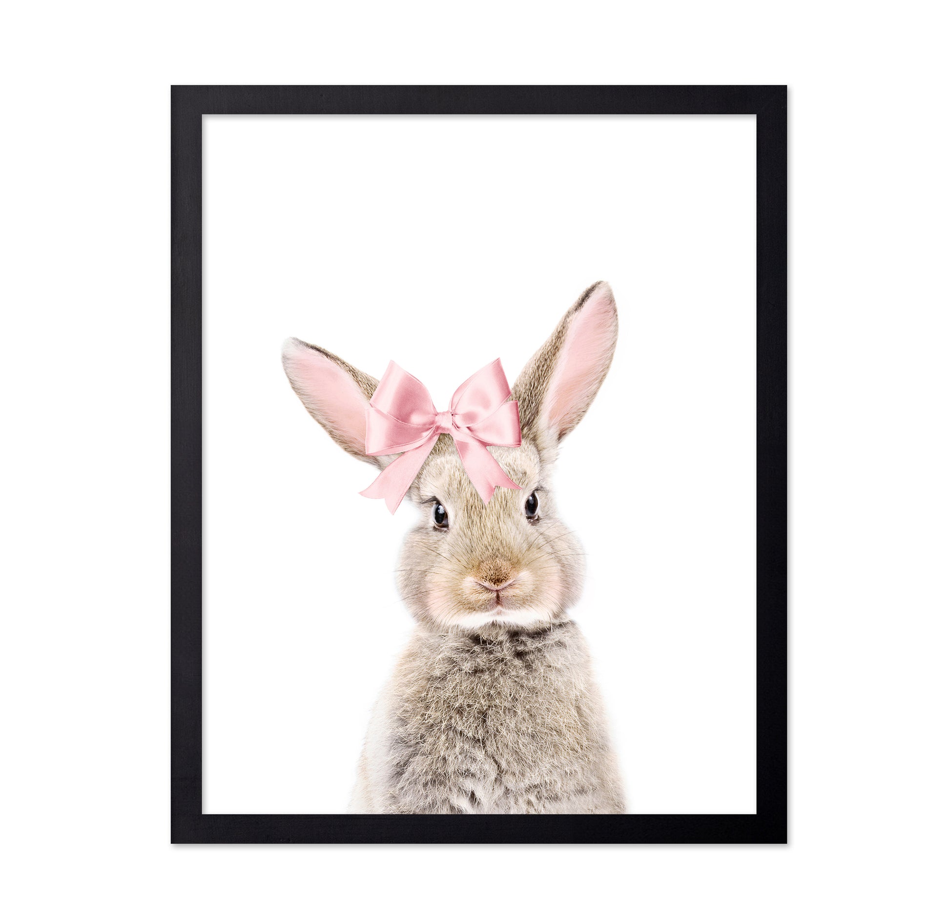Bunny With a Bow