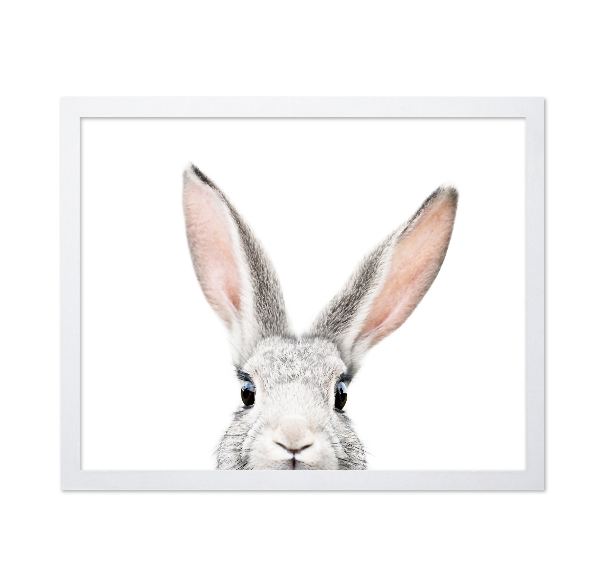 Peeking Bunny