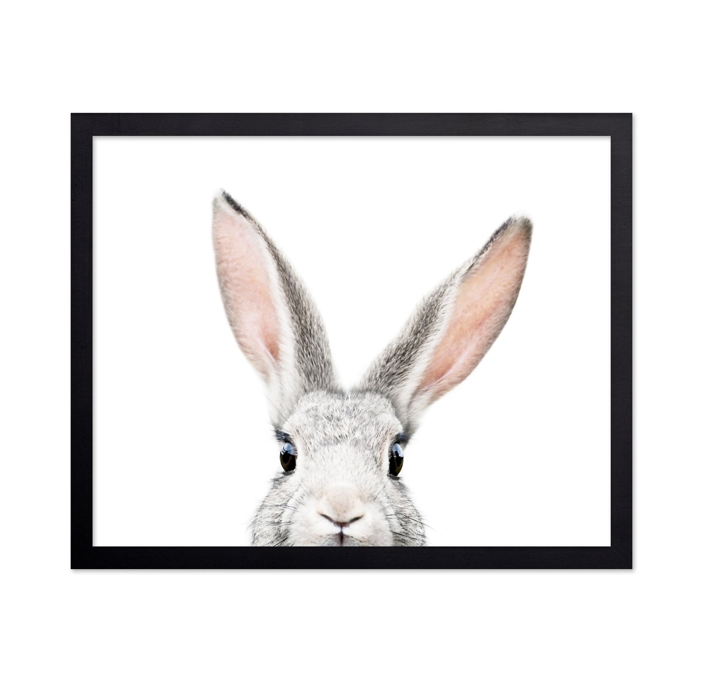Peeking Bunny