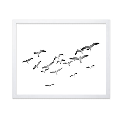 Flying Birds No1