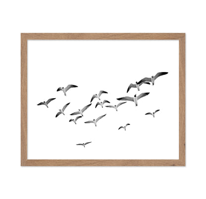 Flying Birds No1
