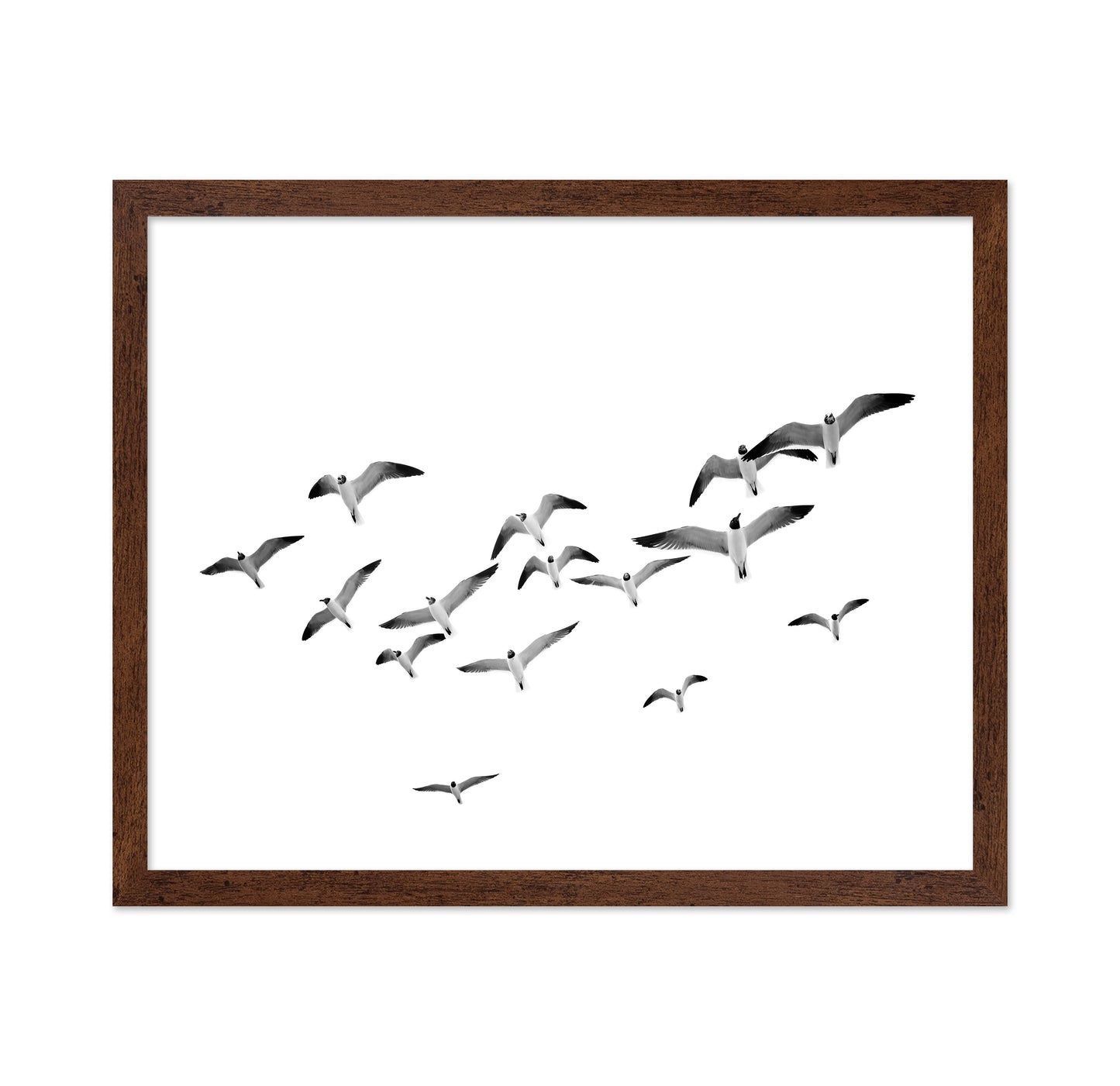 Flying Birds No1