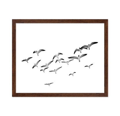 Flying Birds No1