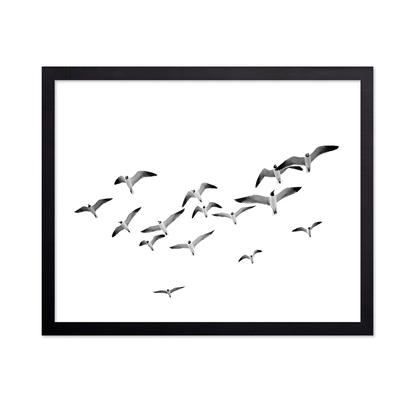 Flying Birds No1