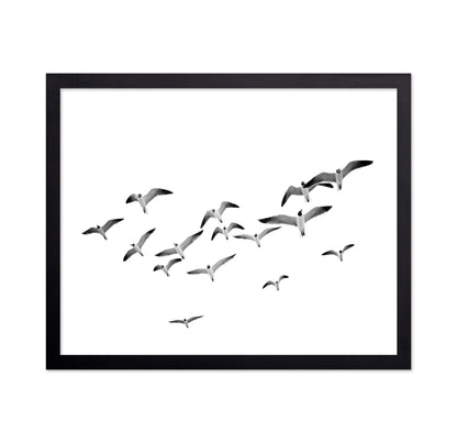 Flying Birds No1