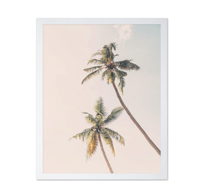 Tropical Palms