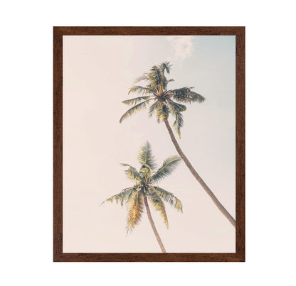 Tropical Palms