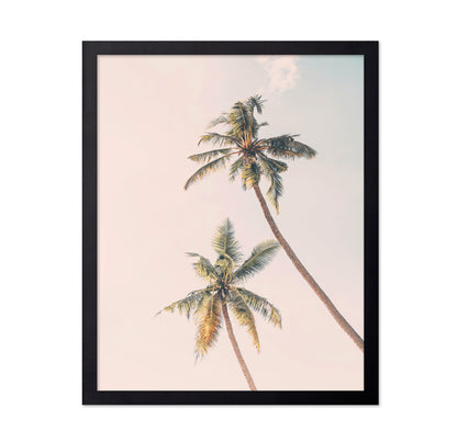 Tropical Palms