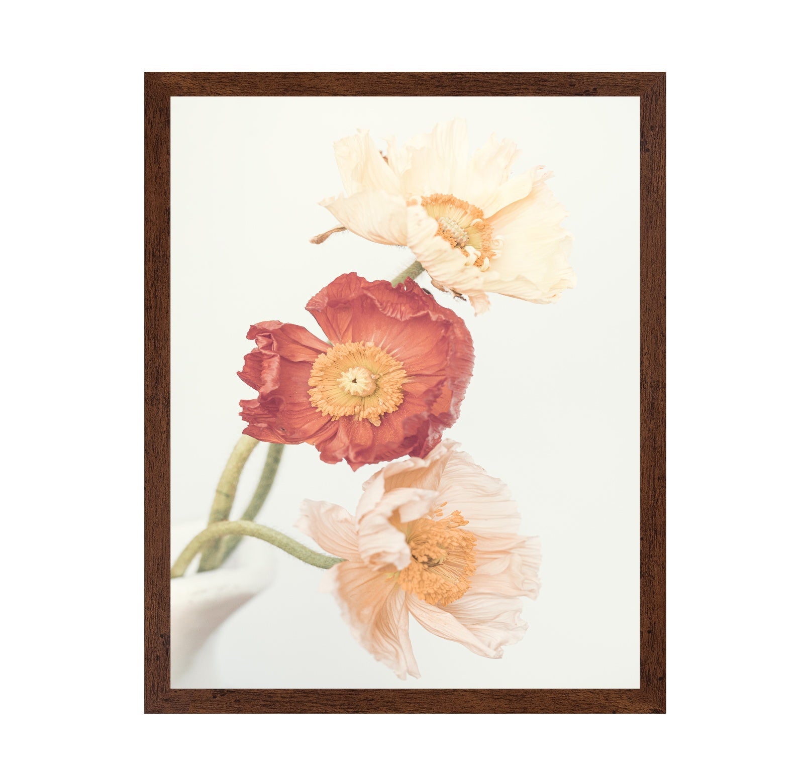 Poppies No 2