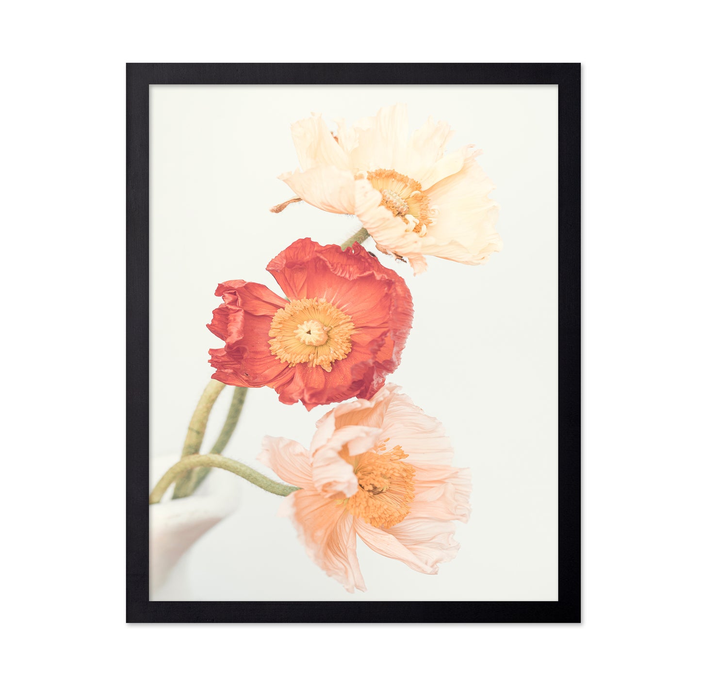 Poppies No 2