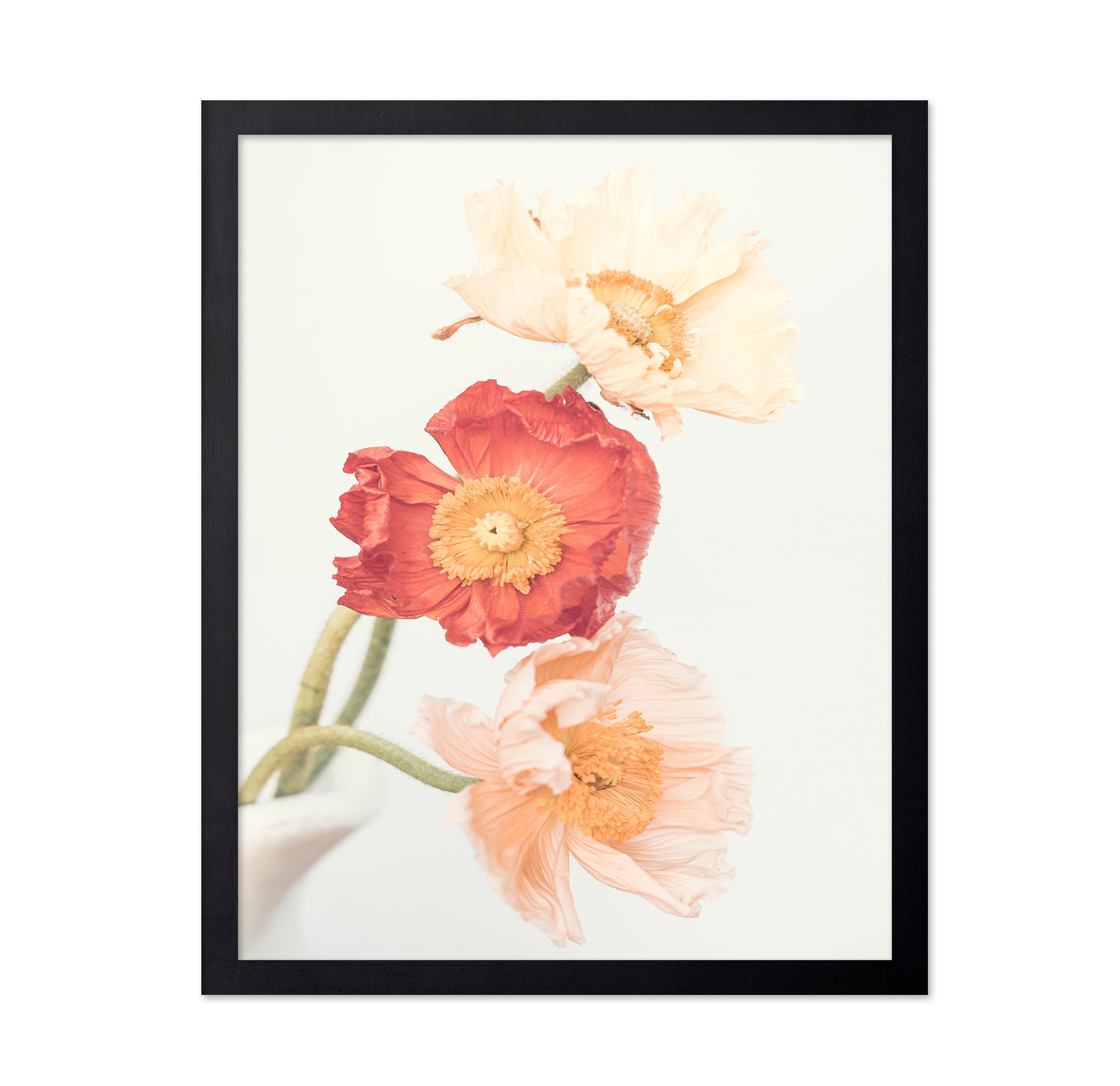 Poppies No 2