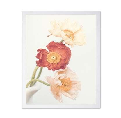 Poppies No 2