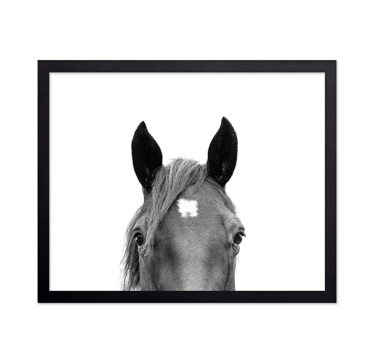 Peeking Horse