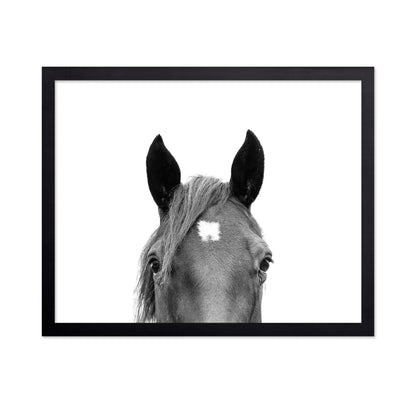 Peeking Horse