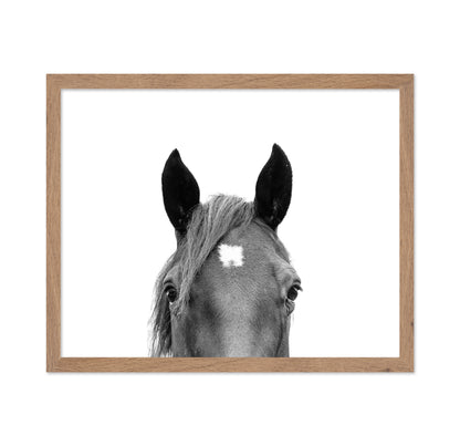 Peeking Horse