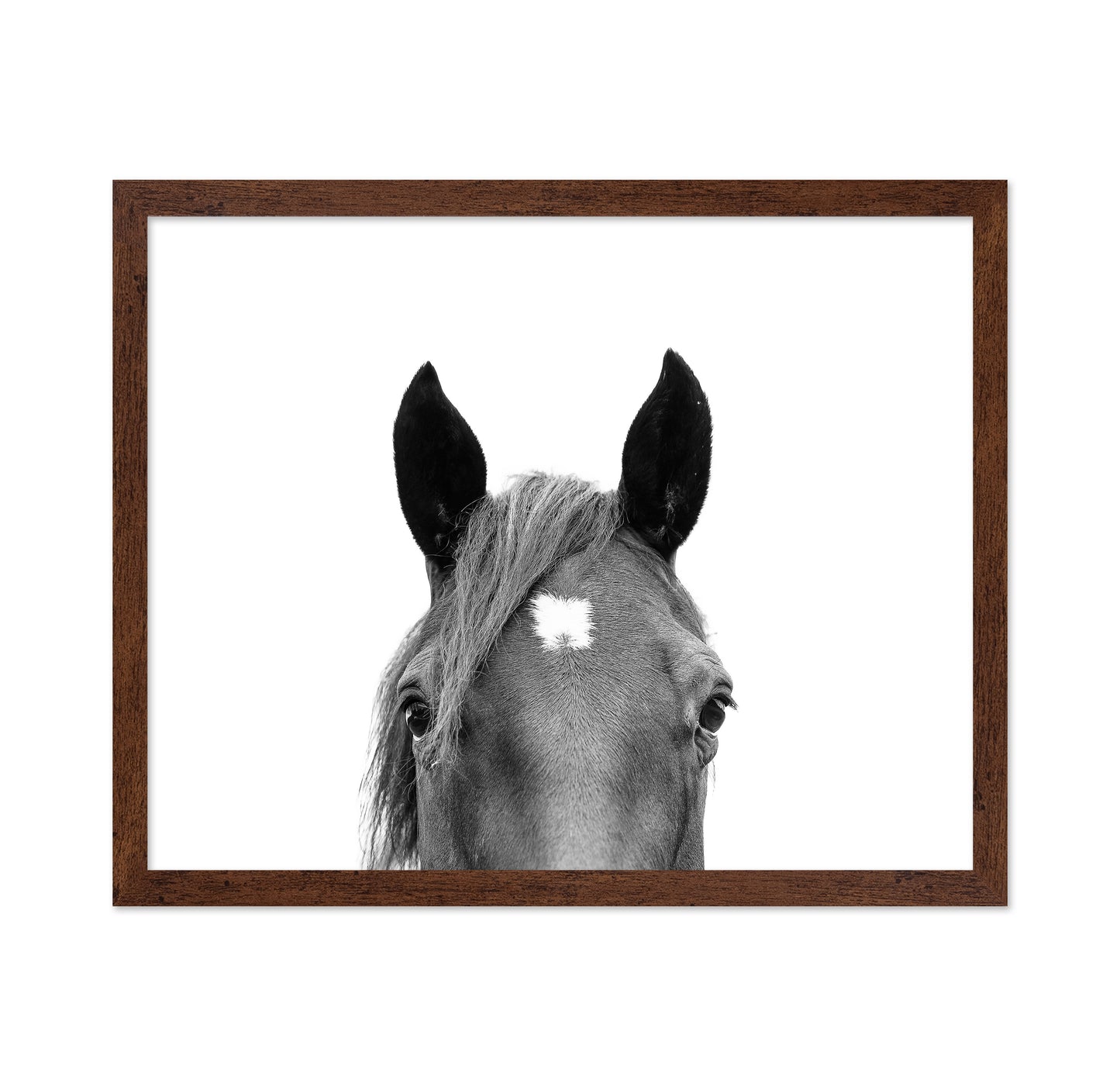 Peeking Horse