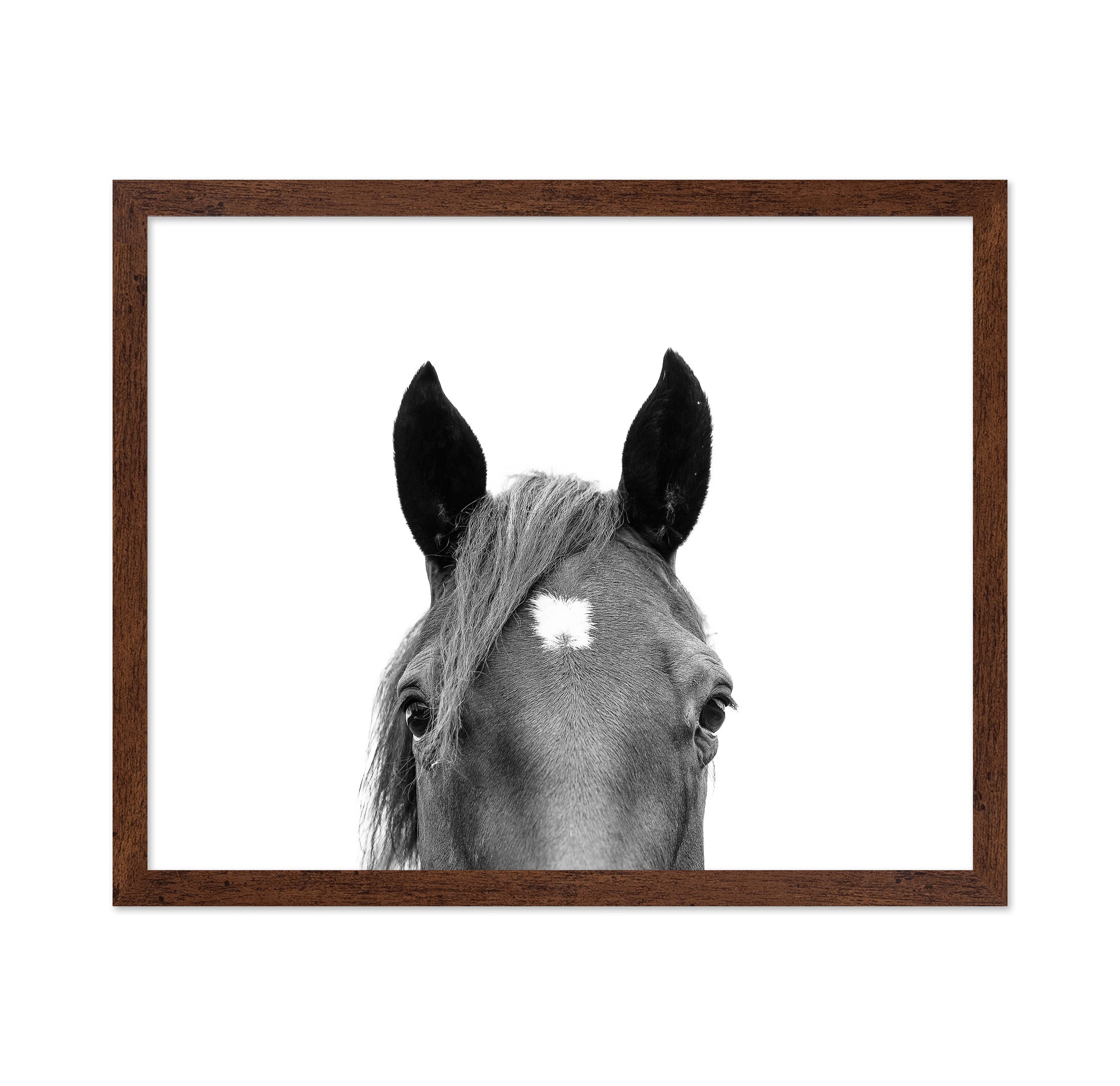 Peeking Horse