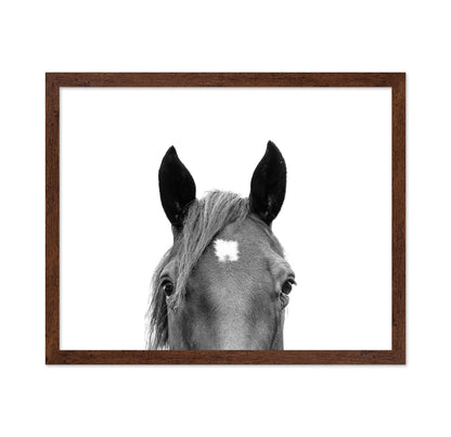 Peeking Horse