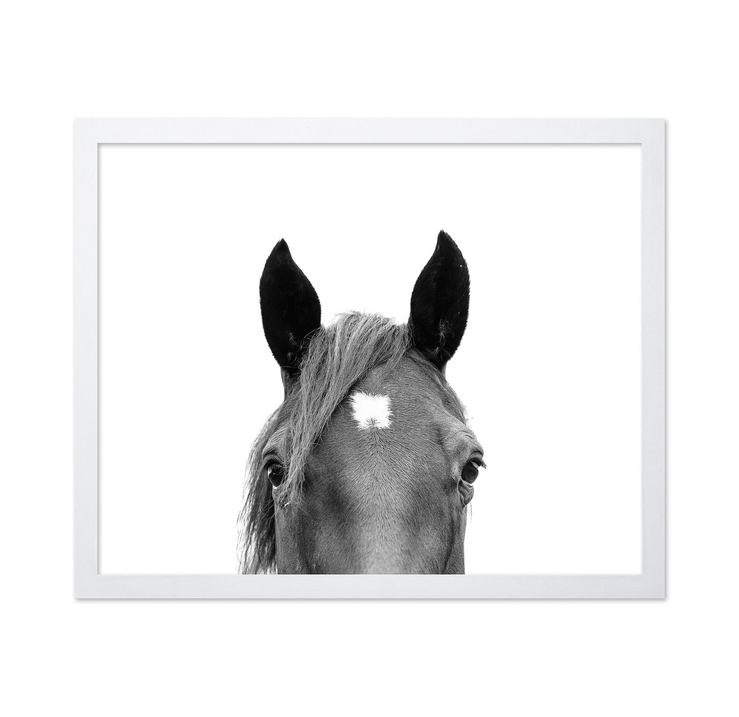 Peeking Horse