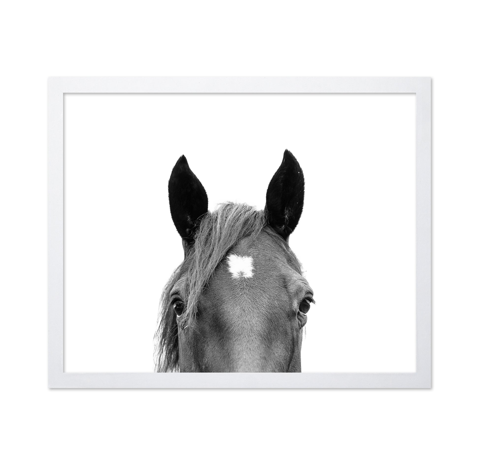 Peeking Horse