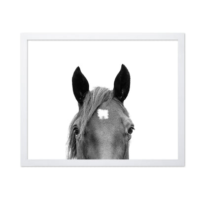 Peeking Horse