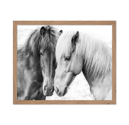 Horse Love