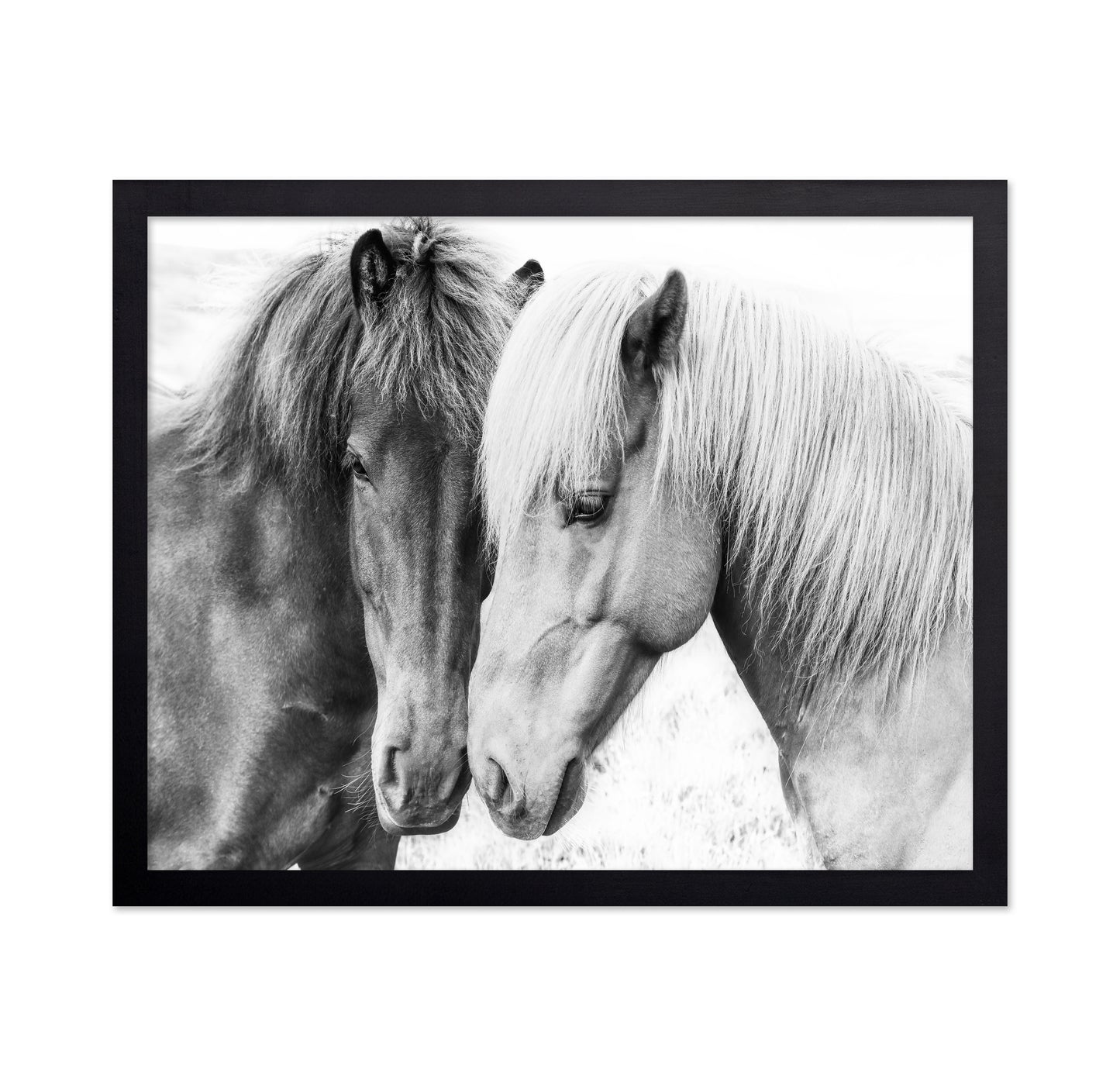 Horse Love