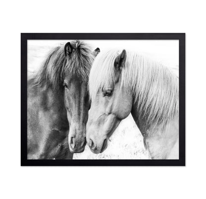 Horse Love