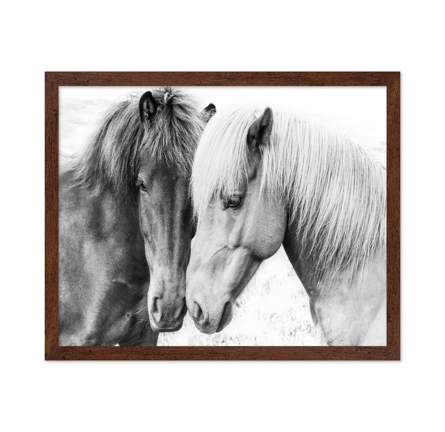 Horse Love