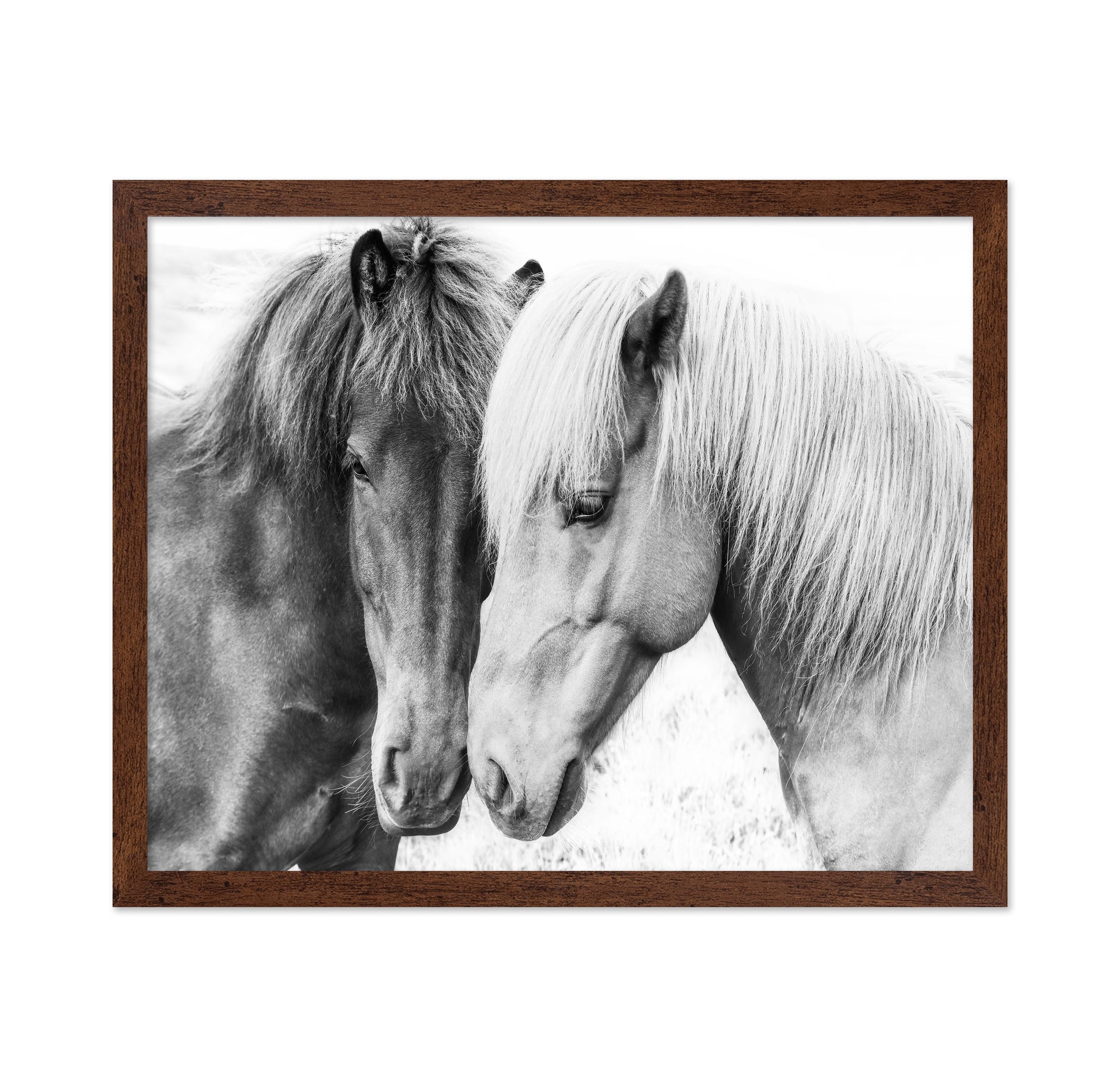 Horse Love