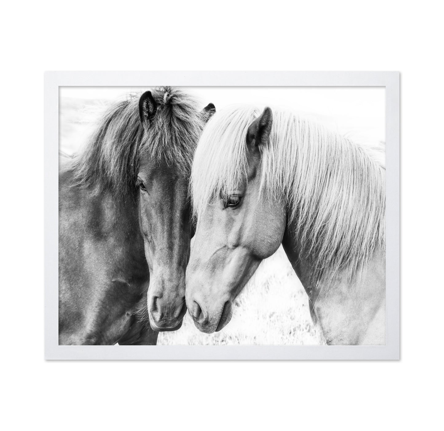 Horse Love