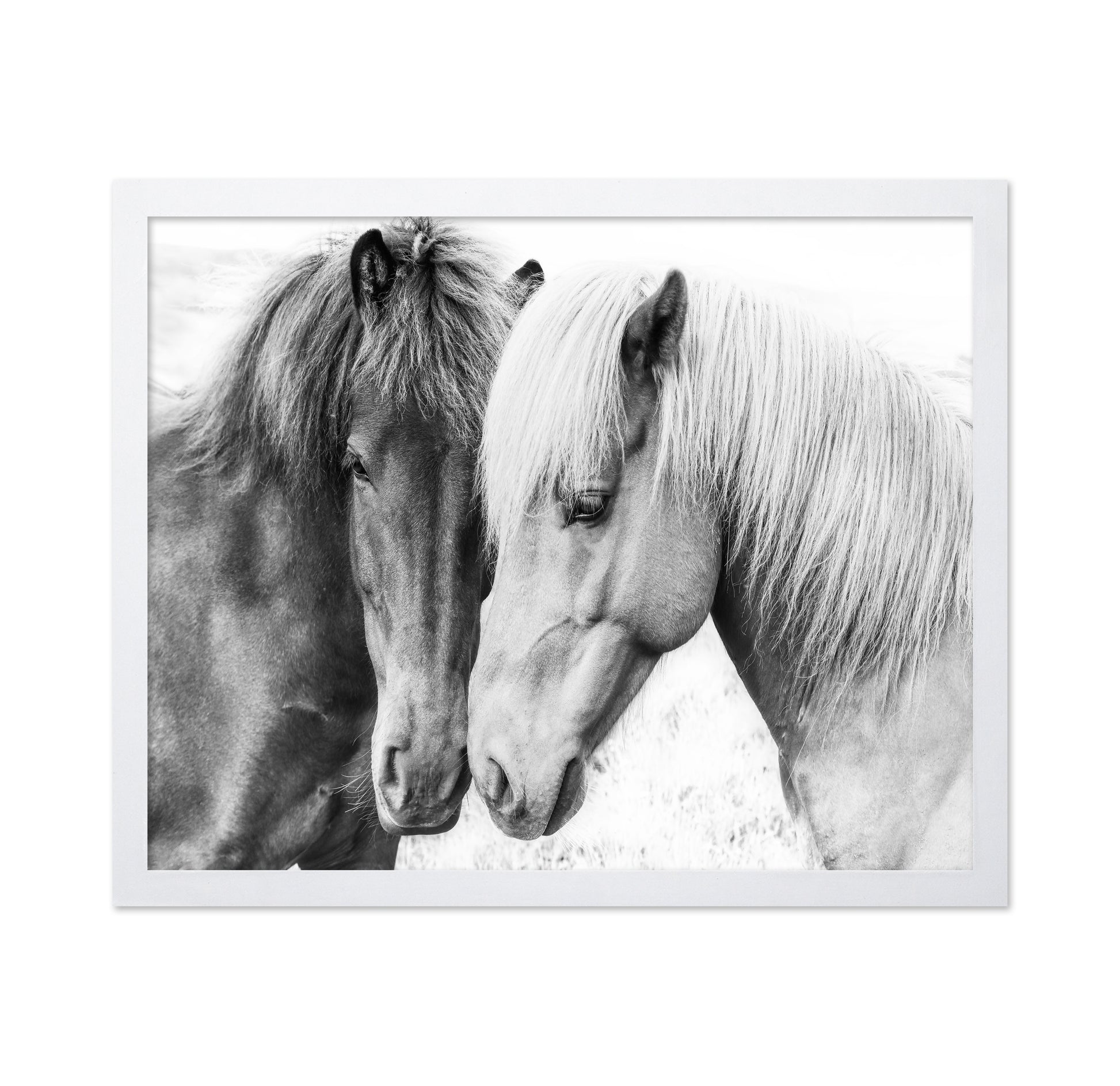 Horse Love