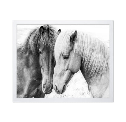 Horse Love