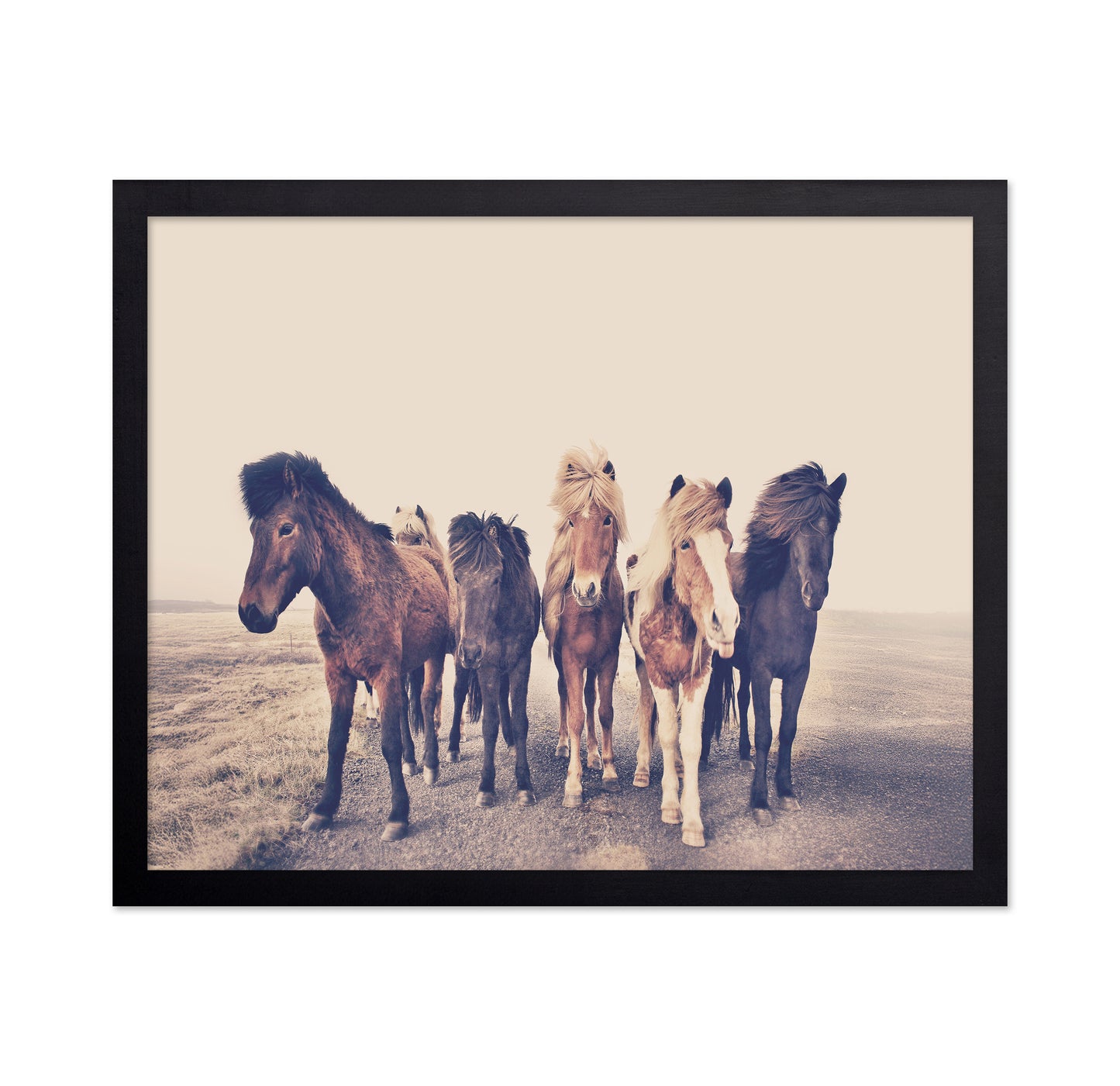 Majestic Herd - A Journey Through Foggy Pastures
