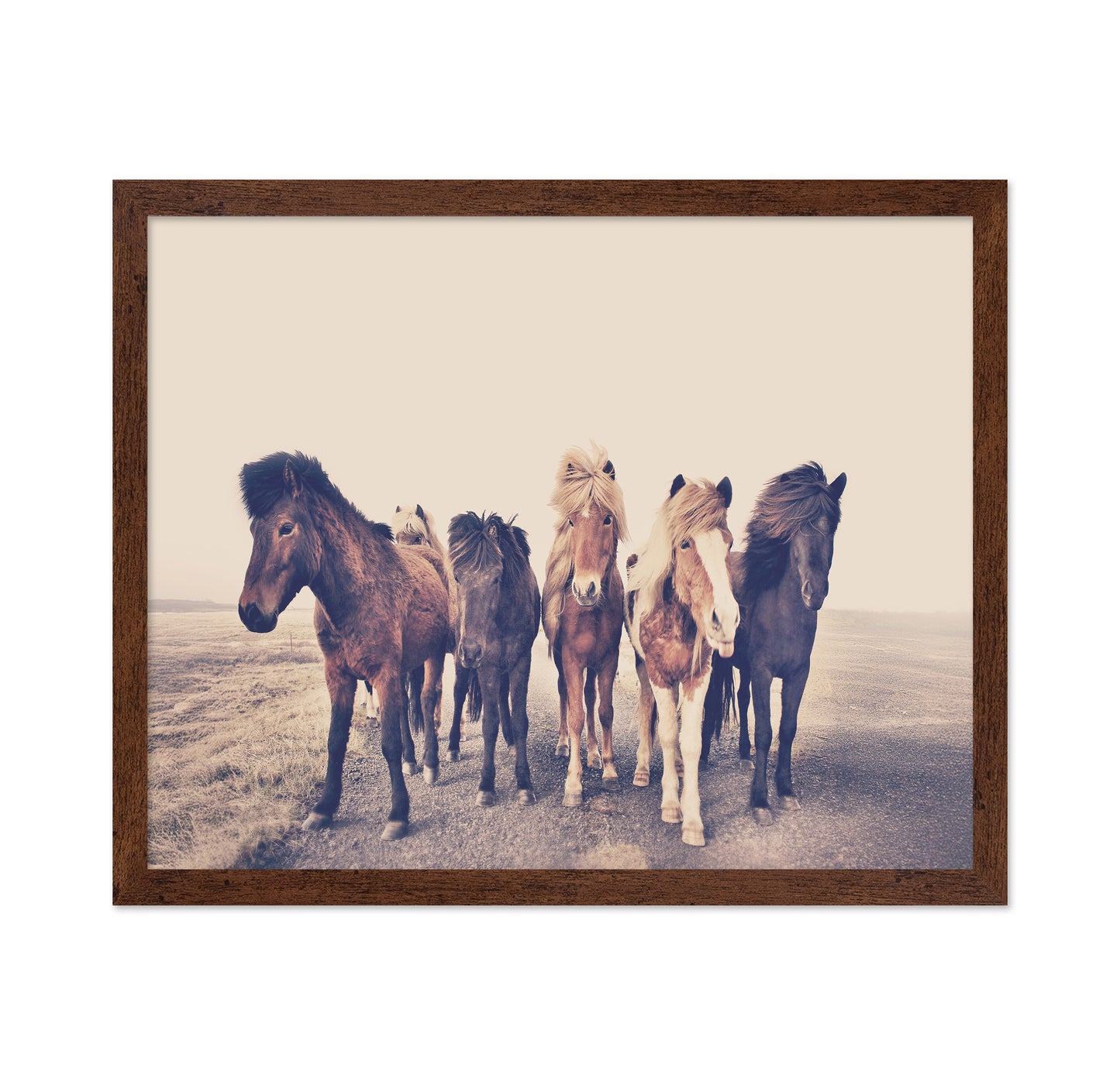 Majestic Herd - A Journey Through Foggy Pastures