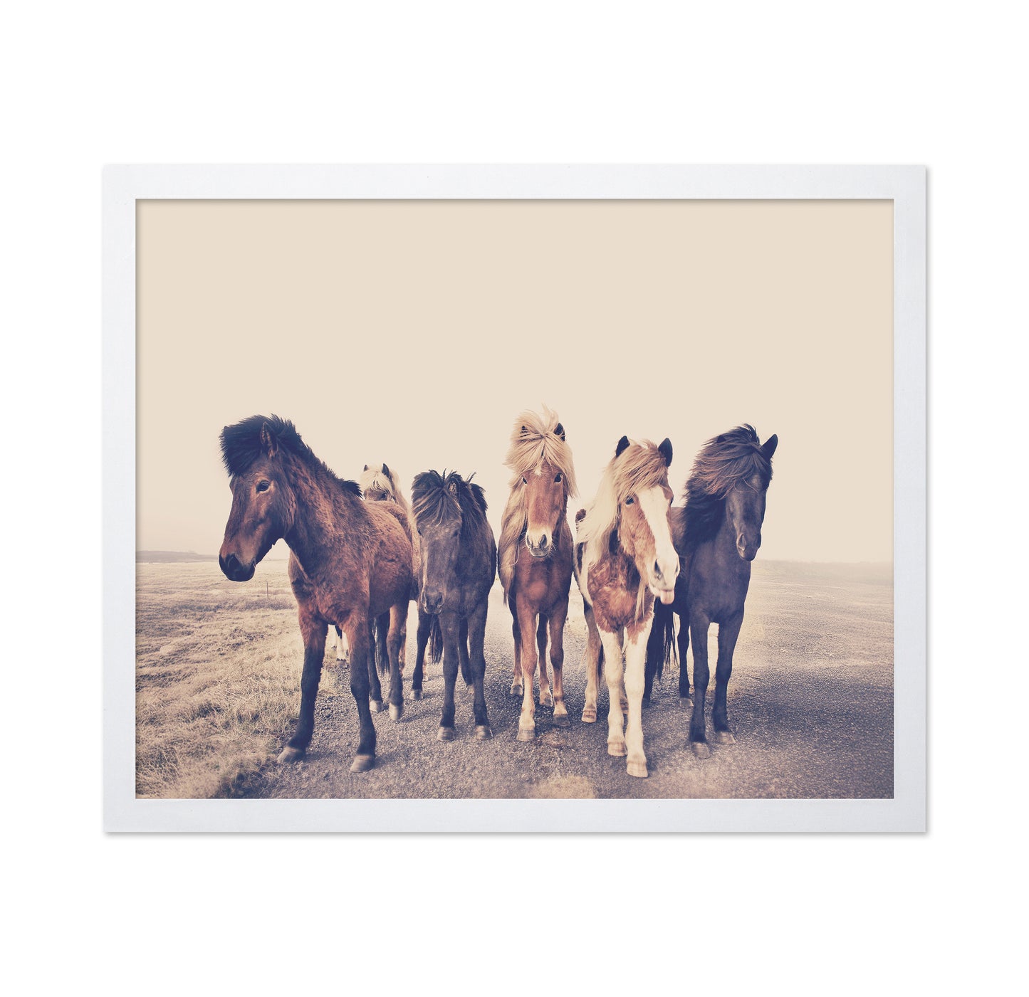 Majestic Herd - A Journey Through Foggy Pastures