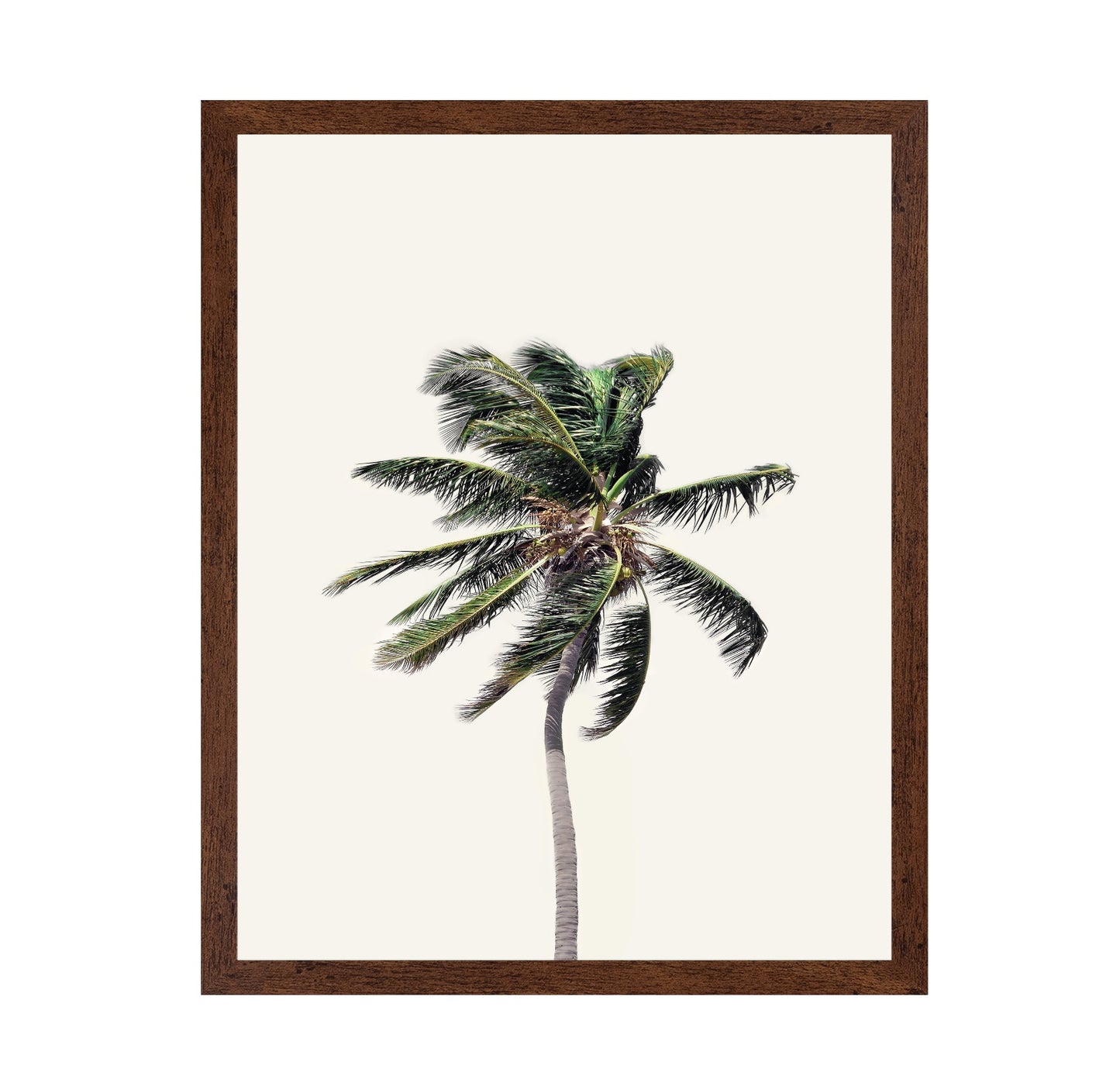 Windy Palm Tree