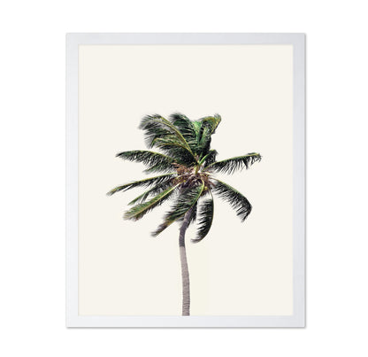 Windy Palm Tree