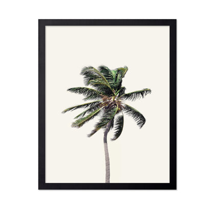 Windy Palm Tree